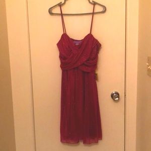 Brand new sparkly pink knee length dress.